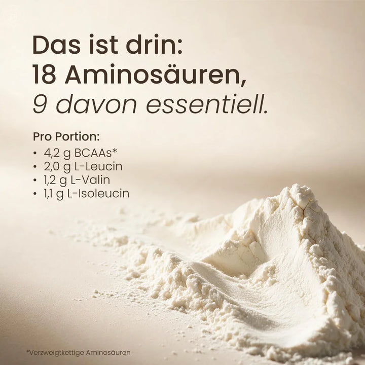 Nature Heart Proteinpulver Creamy Protein Kokos Dream