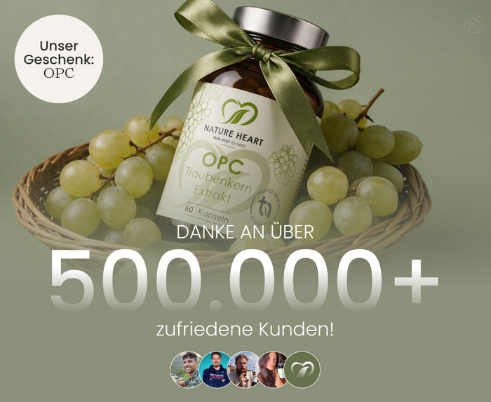 Nature Heart OPC Traubenkern Extrakt mit 60 Kapseln und grüner Schleife im Traubenkorb als Geschenk zum Dank an über 500.000 zufriedene Kunden