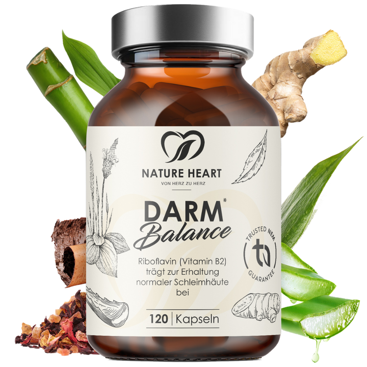 Nature Heart Darm Balance Braunglasdose mit 120 Kapseln, freigestellt mit Ingwer, Bambus und Aloe vera als Dekoration