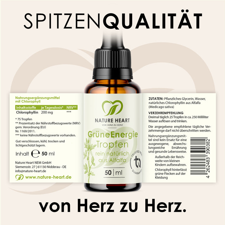 Nature Heart Grüne Energie Chlorophyll Tropfen 50 ml mit ausgeklapptem Etikett mit Inhaltsstoffen und Verzehrempfehlung, Headline Spitzenqualität
