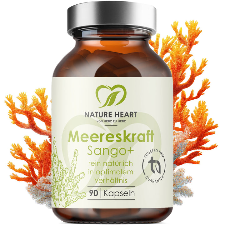 Nature Heart Meereskraft Sango+ rein natürlich, 90 Kapseln in Braunglasflasche vor orangefarbenen Korallen
