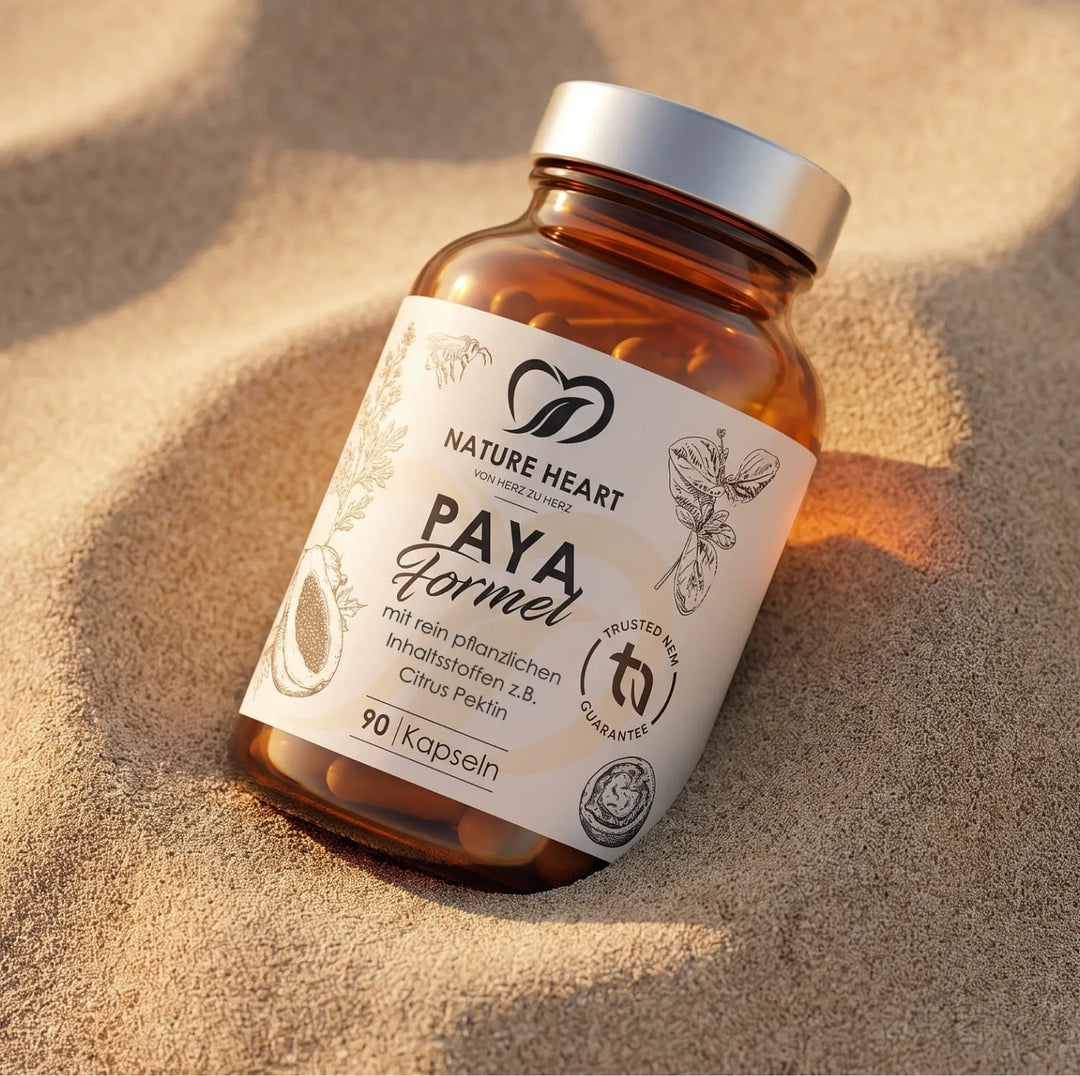 Die Paya Formel von Nature Heart in einer edlen Braunglasflasche liegt im feinen Sand. Die pflanzlichen Inhaltsstoffe wie Citrus Pektin sind auf dem hellen Etikett gut sichtbar.