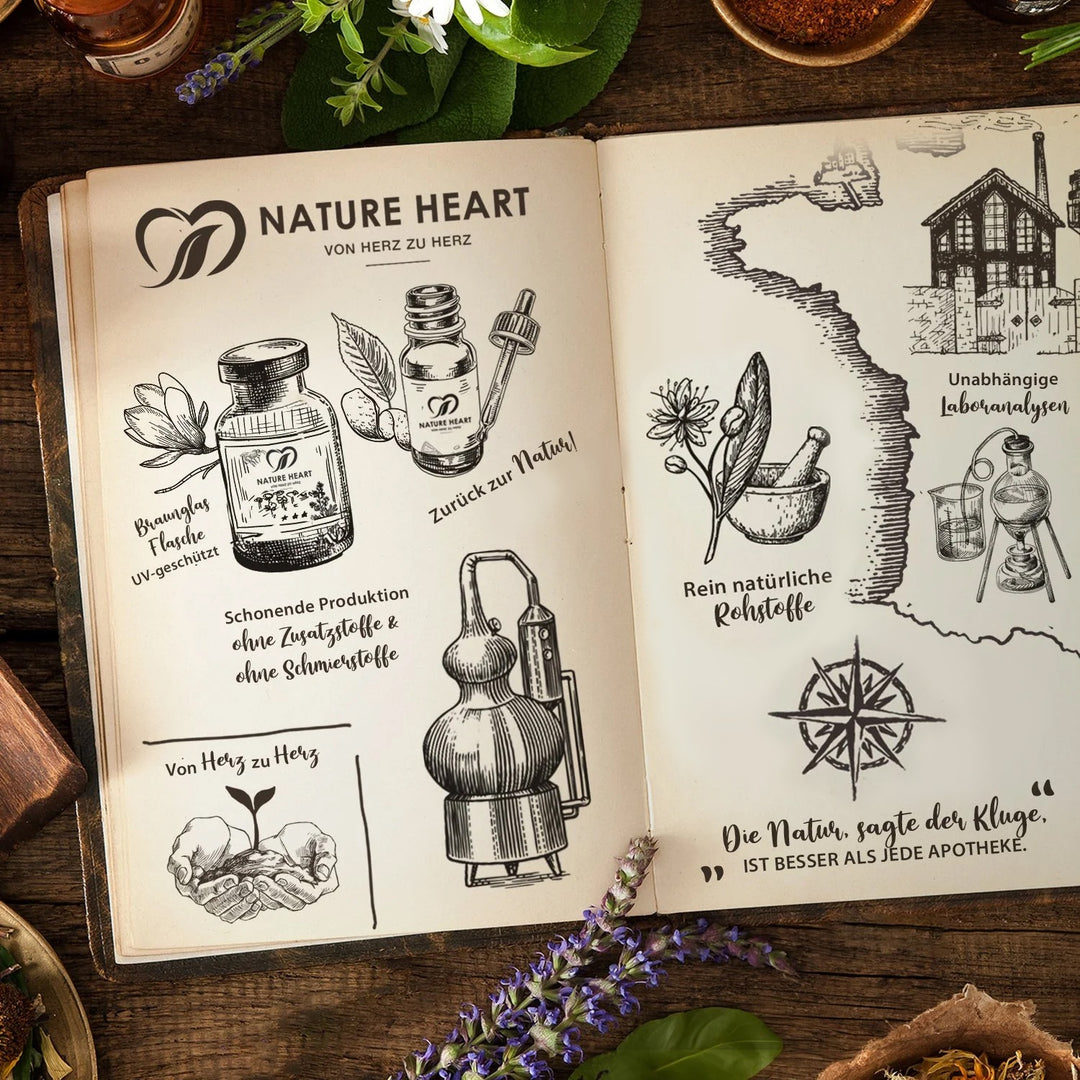 Aufgeschlagenes Buch mit Nature Heart Skizzen zu Braunglasflasche, schonender Produktion, natürlichen Rohstoffen und unabhängigen Laboranalysen