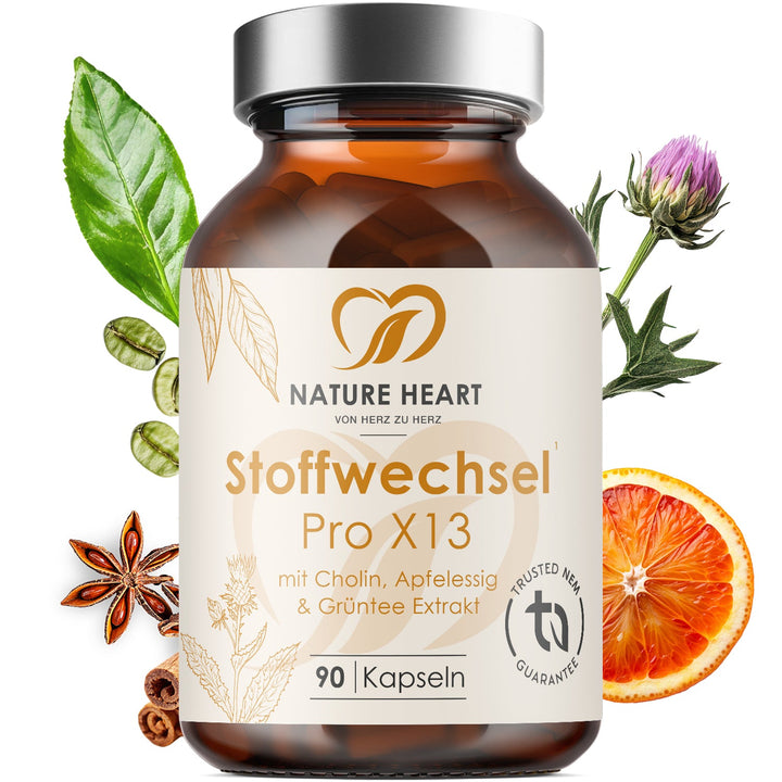 Nature Heart Stoffwechsel Pro X13 mit Cholin, Apfelessig und Grüntee Extrakt, 90 Kapseln, mit Mariendistel, Blutorange und Kaffeebohnen