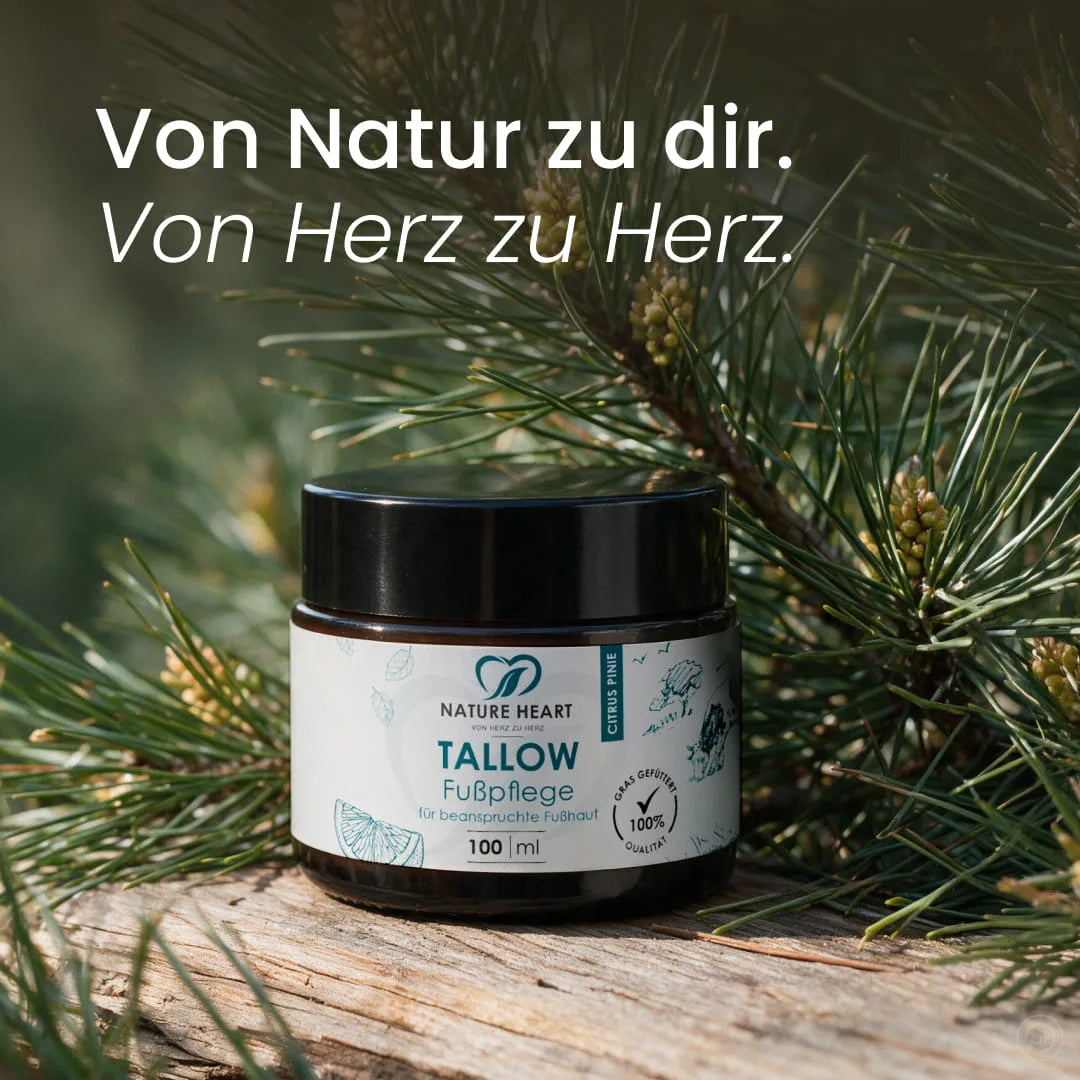 Glastiegel der Nature Heart Tallow Fußpflege Citrus Pinie auf verwittertem Holz zwischen Nadelzweigen mit dem Slogan „Von Natur zu dir. Von Herz zu Herz.“