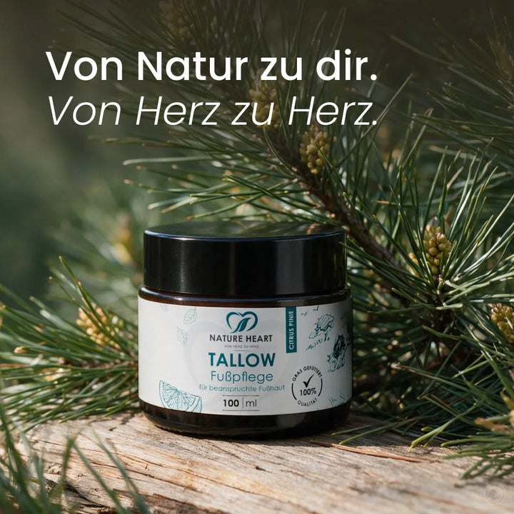 Glastiegel der Nature Heart Tallow Fußpflege Citrus Pinie auf verwittertem Holz zwischen Nadelzweigen mit dem Slogan „Von Natur zu dir. Von Herz zu Herz.“