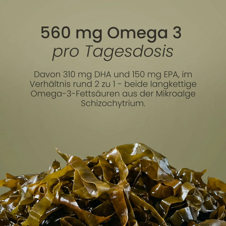 Nature Heart Pflanzenöl-Präparat Omega 3 vegan