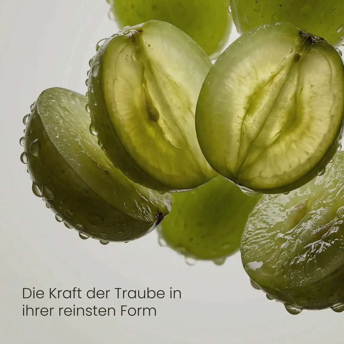 Aufgeschnittene grüne Weintrauben mit Wassertropfen in Makroaufnahme, Rohstoff für OPC Traubenkern Extrakt