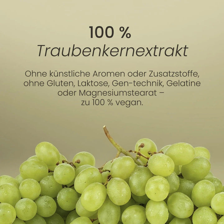 Nature Heart Pflanzenextrakt OPC Traubenkern Extrakt