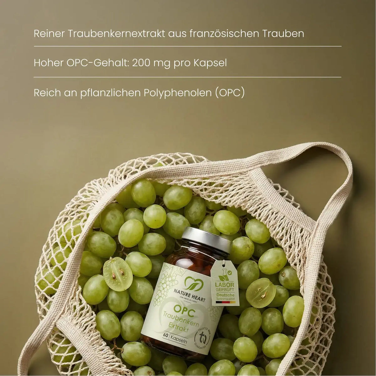 OPC Traubenkern Extrakt, Glas mit 60 Kapseln in einem Netzbeutel voller grüner Trauben: 200 mg OPC pro Kapsel
