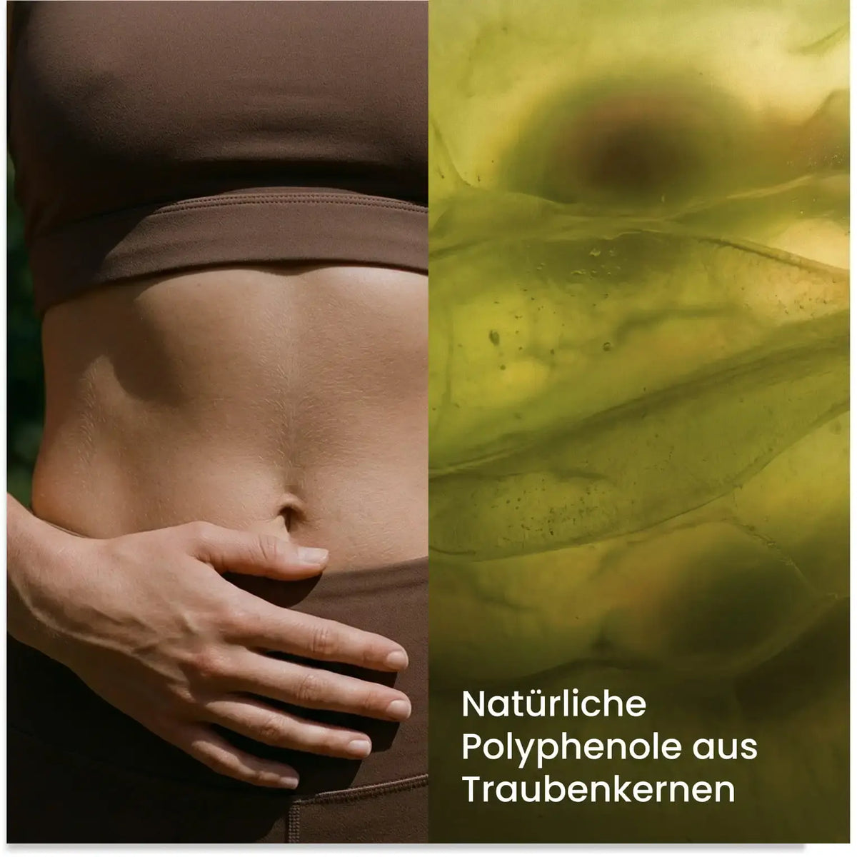 Bauchpartie einer Frau neben einer Makroaufnahme von grünem Traubenfruchtfleisch, Text: Polyphenole aus Traubenkernen
