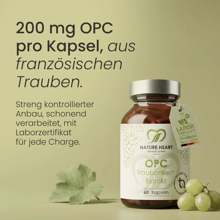 Nature Heart Pflanzenextrakt OPC Traubenkern Extrakt