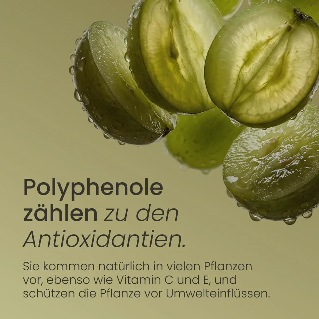 Nature Heart Pflanzenextrakt OPC Traubenkern Extrakt