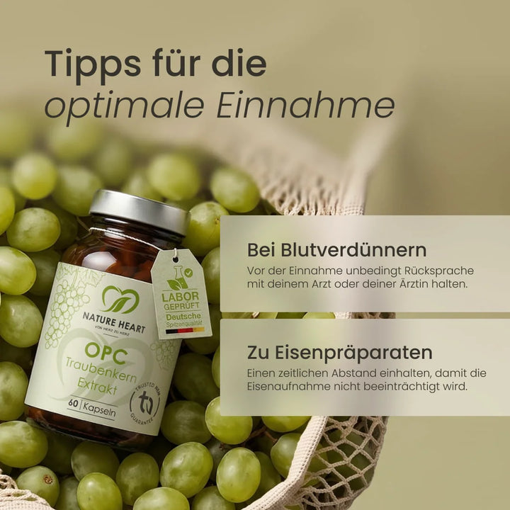Nature Heart Pflanzenextrakt OPC Traubenkern Extrakt
