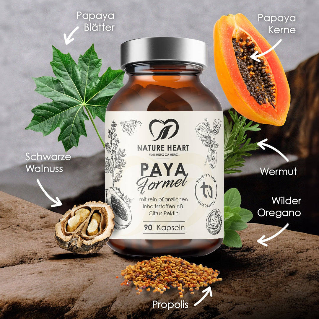Paya Formel 90 Kapseln mit beschrifteten Zutaten: Papayablätter und -kerne, schwarze Walnuss, Wermut, wilder Oregano und Propolis