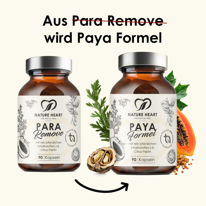 Grafik Aus Para Remove wird Paya Formel: alte und neue Dose mit 90 Kapseln, Pfeil dazwischen, Papaya, Walnuss und Wermut