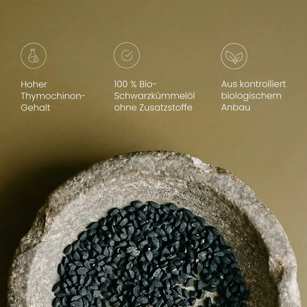 Schwarzkümmelsamen in einer Steinschale zu BIO Schwarzkümmelöl 1500+, aus kontrolliert biologischem Anbau