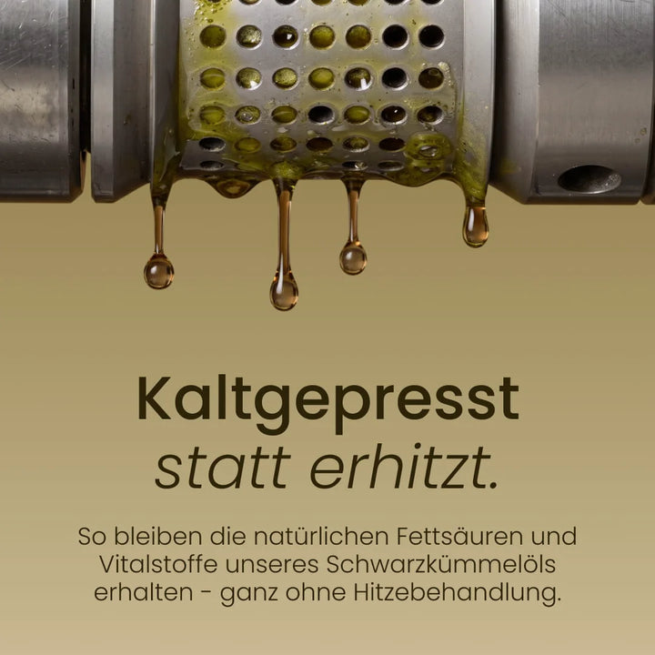 Kaltgepresst statt erhitzt: Öl tropft aus einer Ölpresse, das Öl der Bio Schwarzkümmelöl Kapseln wird ohne Hitzebehandlung gewonnen