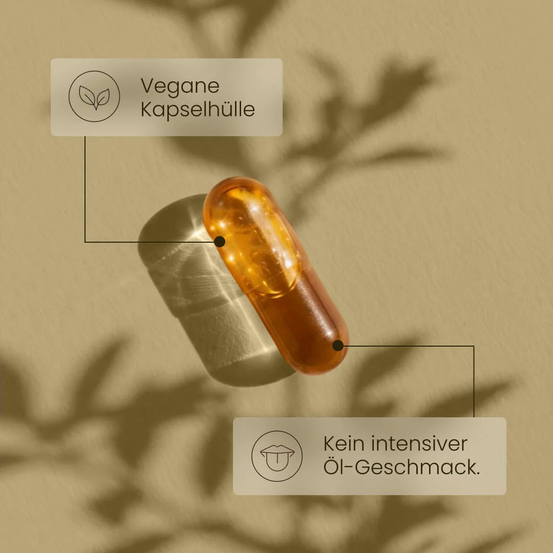 Einzelne Bio Schwarzkümmelöl Kapsel in Nahaufnahme mit den Hinweisen vegane Kapselhülle und kein intensiver Öl-Geschmack