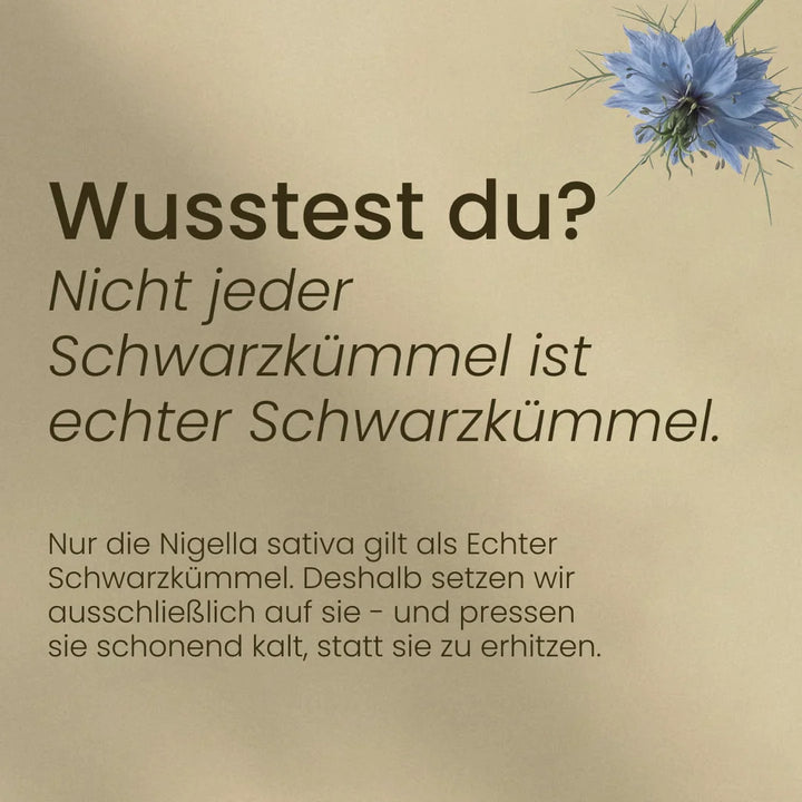 Wusstest du? Nur Nigella sativa gilt als Echter Schwarzkümmel – für die Bio Schwarzkümmelöl Kapseln wird er schonend kalt gepresst
