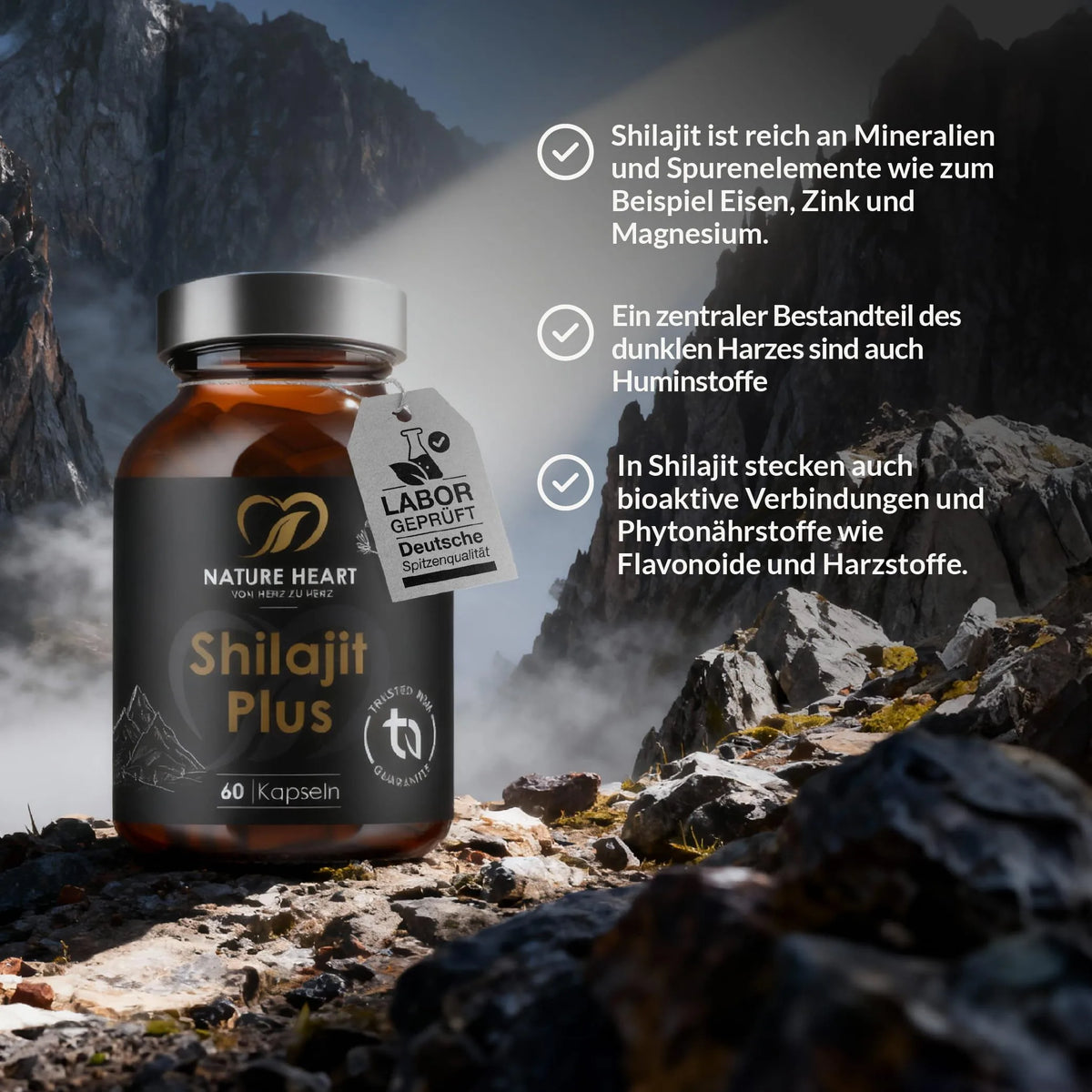 Shilajit Plus mit 60 Kapseln auf Fels vor nebliger Berglandschaft, daneben drei Textpunkte zu Shilajit-Harz