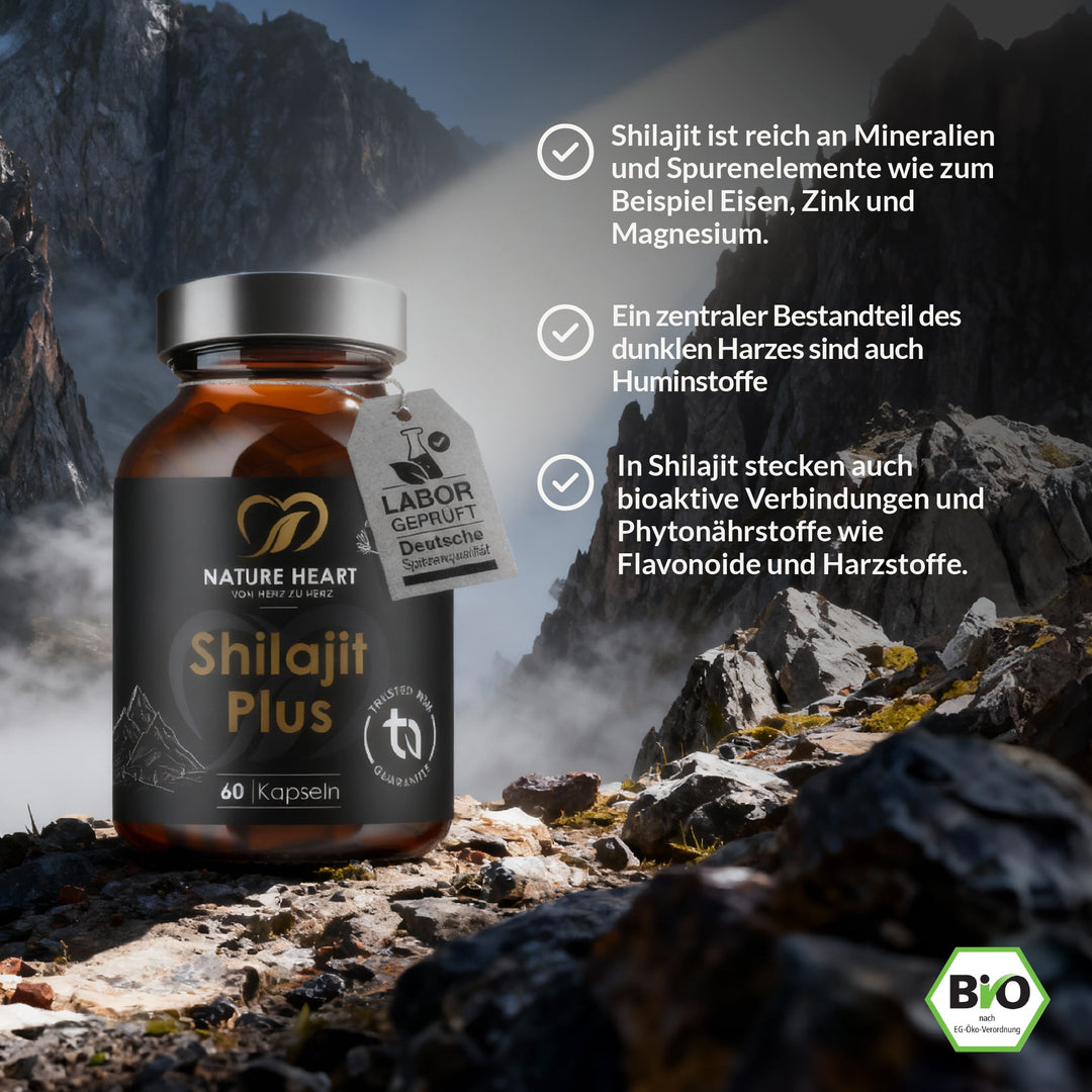 Shilajit Plus Glas auf Felsen im Gebirge mit Hinweisen zu Mineralien, Huminstoffen und Pflanzenstoffen in Shilajit
