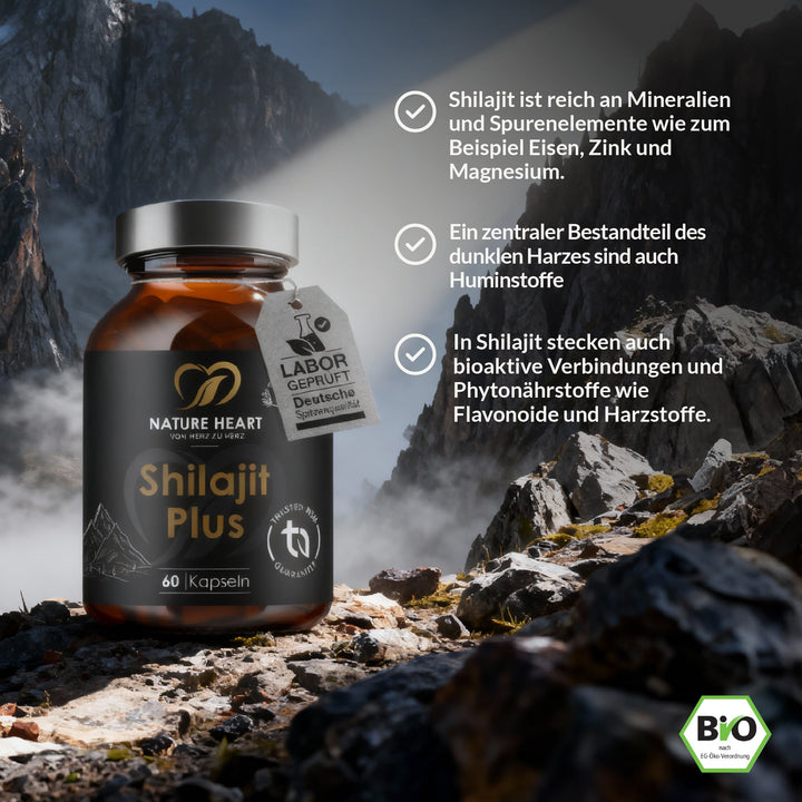 Shilajit Plus Glas auf Felsen im Gebirge mit Hinweisen zu Mineralien, Huminstoffen und Pflanzenstoffen in Shilajit