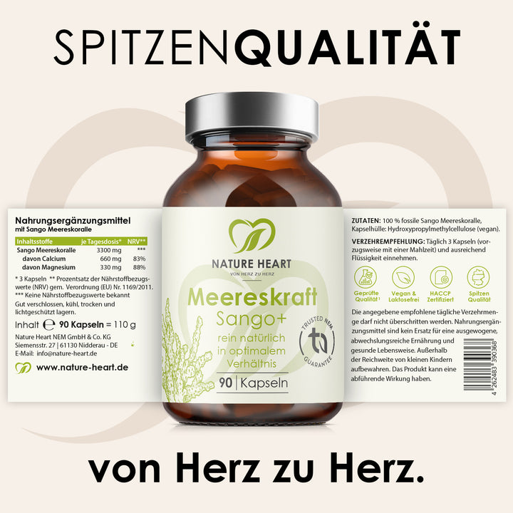 Meereskraft Sango+ 90 Kapseln aus dem Stillzeit Bundle mit aufgeklapptem Etikett zu Sango Meereskoralle, Calcium und Magnesium