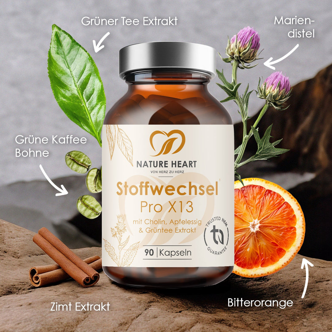Stoffwechsel Pro X13 Glas mit beschrifteten Zutaten Grüner Tee Extrakt, Mariendistel, grüne Kaffeebohne, Zimt Extrakt und Bitterorange