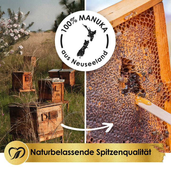 Bienenstöcke und Honigwabe mit Siegel 100 % Manuka aus Neuseeland und Banner Naturbelassene Spitzenqualität