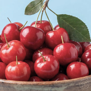 Rote Kirschfrüchte mit Stielen und grünen Blättern in einer Tonschale, Symbolbild zu den Zutaten von Superhelden 3-fach Power