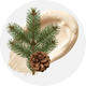 Tallow-Creme Haut Relax in der Duftvariante Zirbelkiefer: cremige, helle Textur mit Nadelzweig und Kiefernzapfen