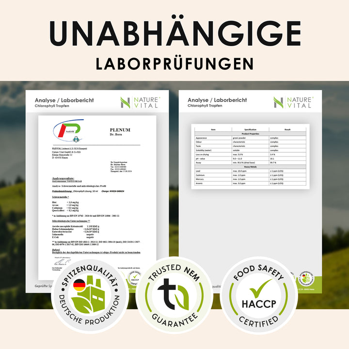 Grüne Energie - Chlorophyll Tropfen